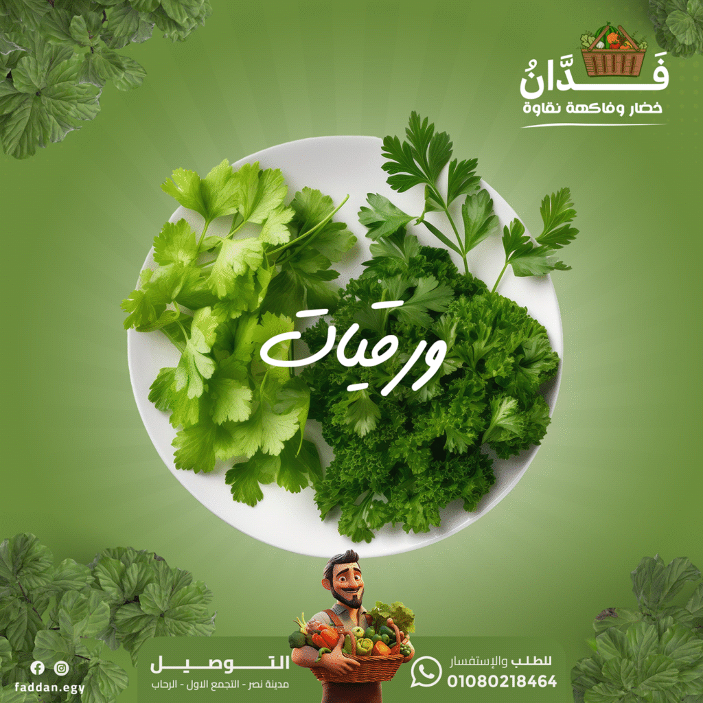Faddan | Social Media Designs